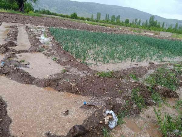 Malatya'da dolu yağışı tarım arazilerini sular altında bıraktı