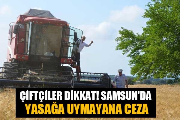 Çiftçiler dikkat! Samsun'da yasağa uymayana ceza