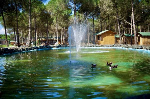 Samsun'un yeni turizm merkezi: Çarşamba Orman Park