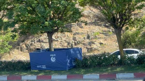 Bilecik'te trafik kazası: 1 ölü, 1 yaralı