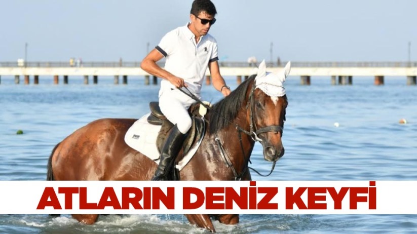 Samsun'da atların deniz keyfi