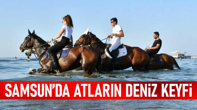 Samsun'da atların deniz keyfi