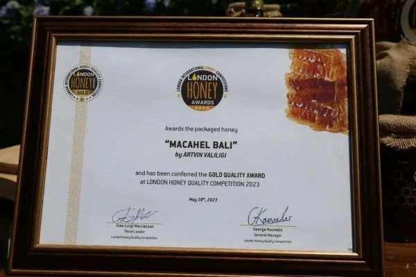 Dünya 'Altın Bal' ödüllü balın tanıtımı Artvin'de yapıldı