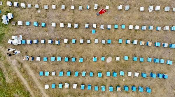 Ağrı'da kadınlar bal üretimine yöneliyor