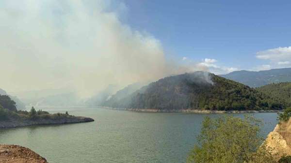 Erbaa'da orman yangını: 50 hektarlık alan kül oldu
