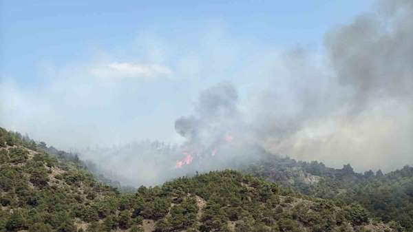 Tokat'ın Erbaa ilçesinde çıkan orman yangınına müdahale ediliyor