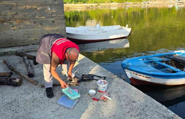 Kastamonu'da yasa dışı palamut avcılığına geçit yok: 4 kişiye para cezası uygulandı