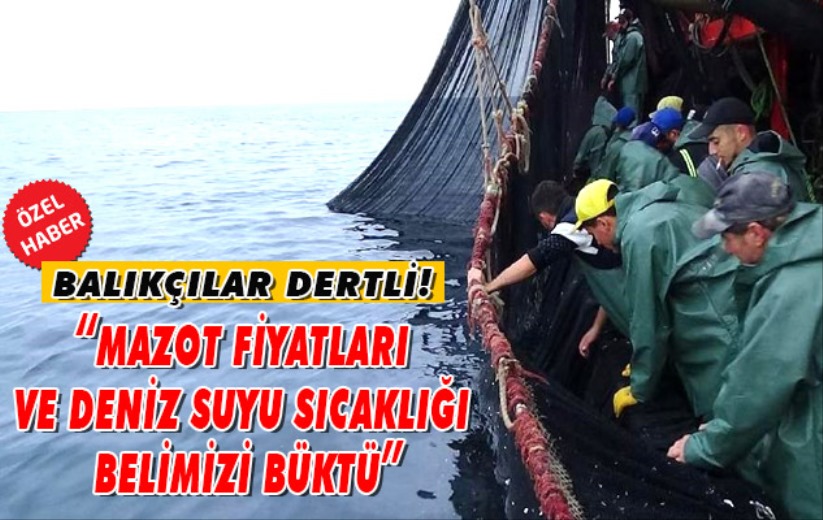 Balıkçılar dertli! 'Mazot fiyatları ve deniz suyu sıcaklığı belimizi büktü' 