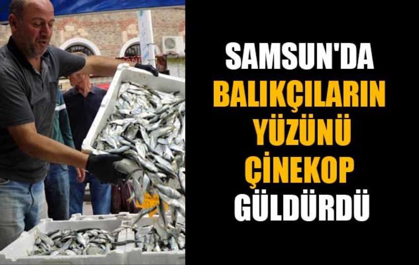  Samsun'da balıkçıların yüzünü çinekop güldürdü