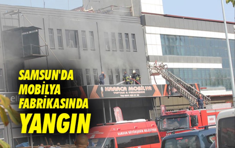 Samsun'da mobilya fabrikasında yangın