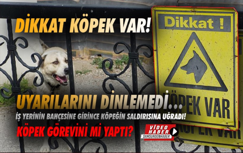 Dikkat köpek var! Uyarılarını dinlemedi özel mülke girdi. Köpek görevini mi yaptı? 