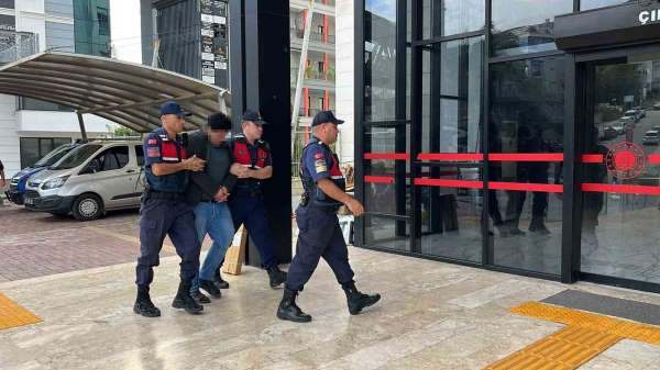 Alanya'da kuşlara yönelik vahşet kamerada: Birinin kafasını ağzıyla, diğerinin bıçakla kesti