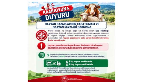 Amasya'da şap hastalığı tedbiri: Hayvan pazarları kapatıldı