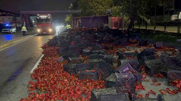 Devrilen kamyondaki 10 ton kapya biber yola saçıldı: 2 yaralı