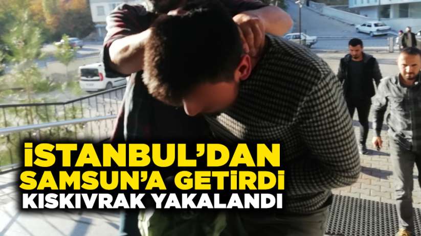 İstanbul'dan Samsun'a getirdi! Kıskıvrak yakalandı