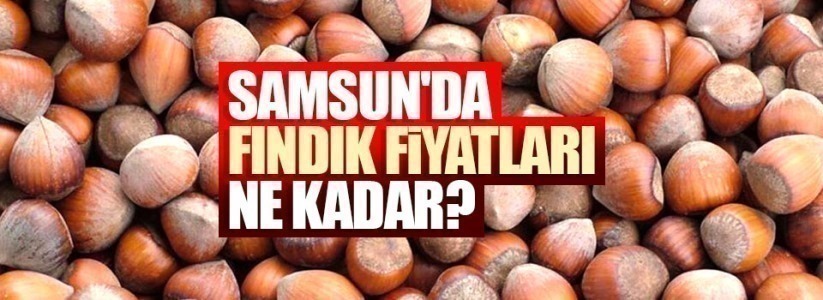 Güncel fındık fiyatları! 6 Kasım Cuma fındık fiyatları ne kadar?