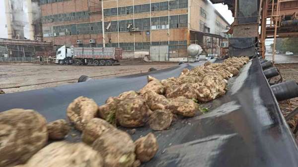 Malatya Şeker Fabrikası'nda hedef 60 bin ton şeker üretimi