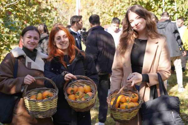 Bilecik'te 6 yıl önce deneme amaçlı dikilen hurma fideleri ilk meyvelerini verdi
