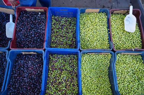 Kilis'te yerli sofralık zeytin tezgahlarda yerini aldı