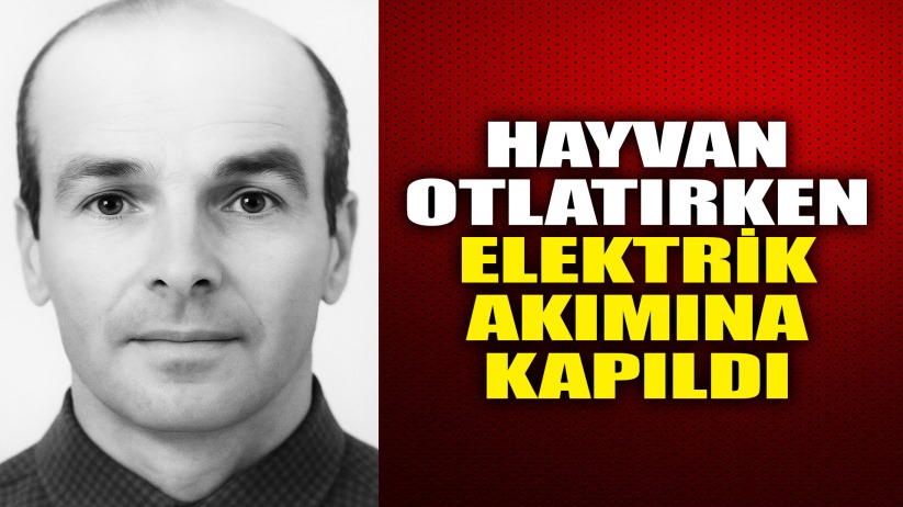 Hayvan otlatırken elektrik akımına kapılan şahıs hayatını kaybetti