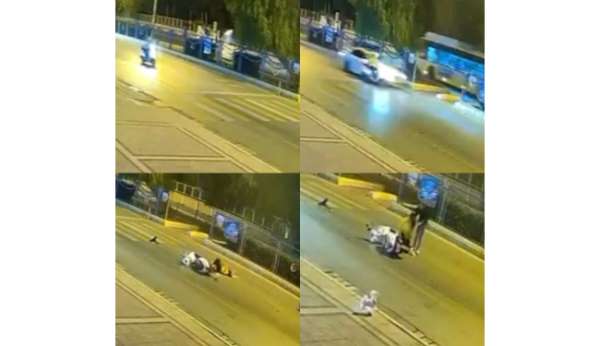 Mersin'de motosiklet kazasında köpeğin sadakati duygulandırdı