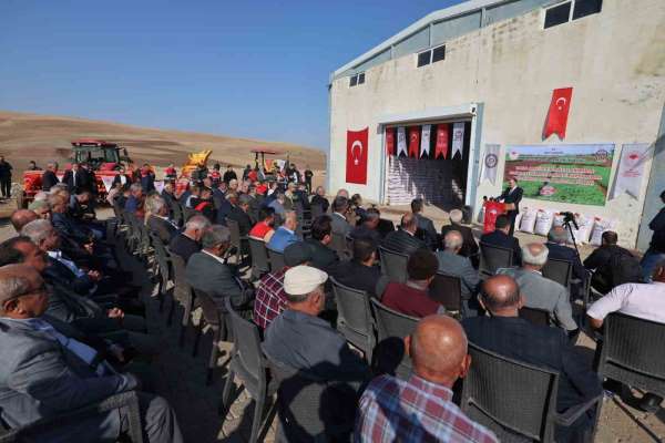Siirt'te 203 ton kırmızı mercimek çiftçilere dağıtıldı