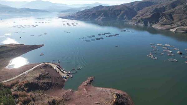 Denizi olmayan Tokat'ın somonları dünya sofralarına ulaşıyor