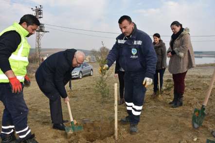 Türkmenli Göleti havzasına bin 200 fidan dikildi 