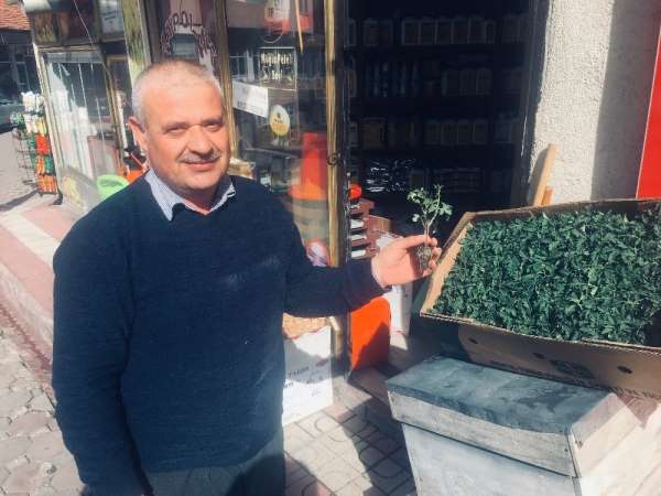 Akdağmadeni'nde tohum ve fide satışları başladı