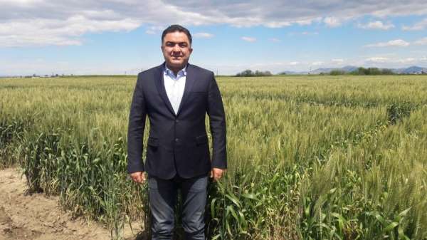 Doğru: 'Buğdayın maliyeti bir yılda yüzde 55 arttı'