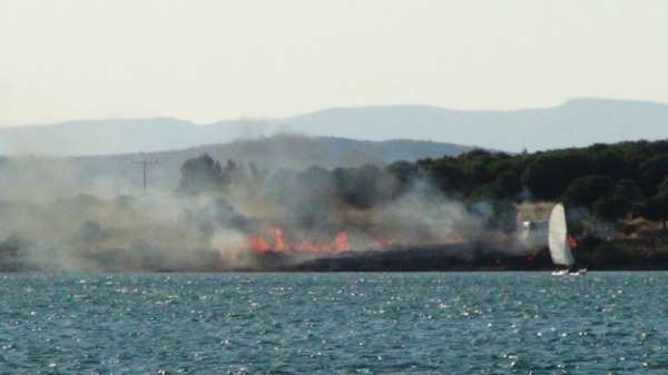 Bilinçsiz mangal yakımı az kalsın ormanı yakıyordu 