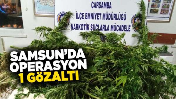 Samsun'da operasyon! 1 gözaltı