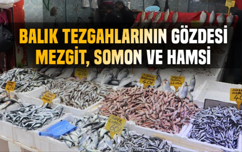 Balık tezgahlarının gözdesi mezgit, somon ve hamsi