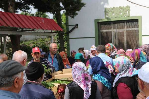 Atakum'da çiftçiye 30 bin sebze fidesi ve tohum desteği