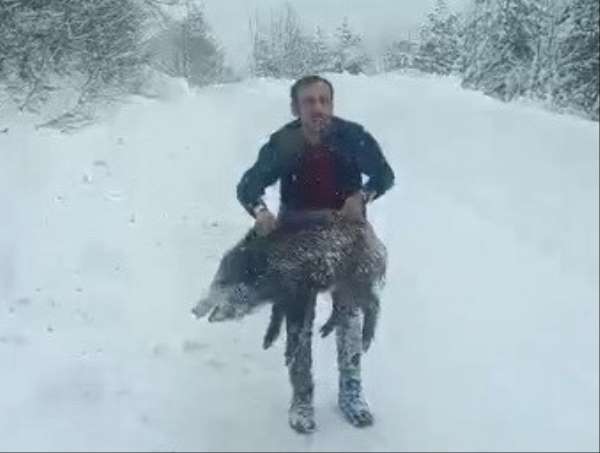 Karlı yolda domuzu elleriyle yakalayan adam konuştu: 'Bir anı olsun diye yakaladım, kimseye tavsiye etmem'