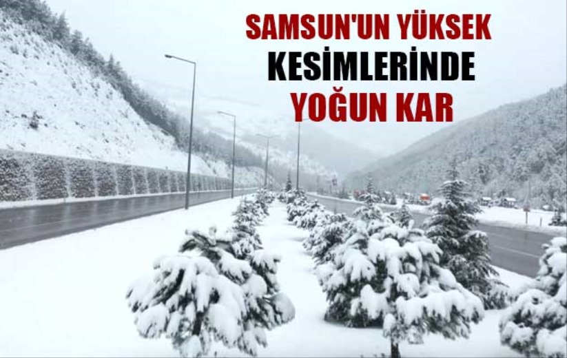 Samsun'un yüksek kesimlerinde yoğun kar