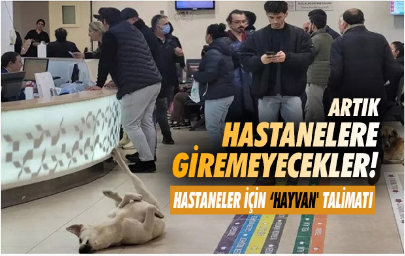 Artık hastanelere giremeyecekler! Hastaneler için 'hayvan' talimatı