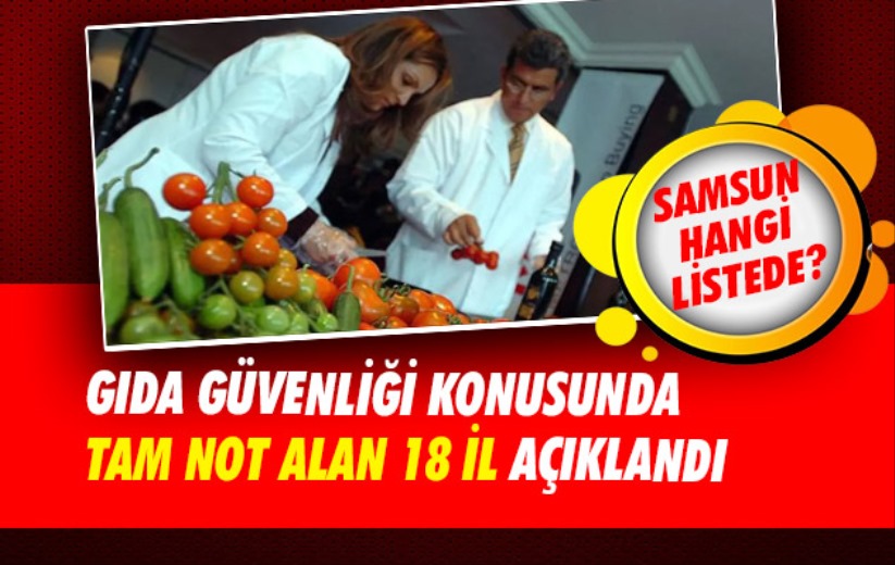 Gıda güvenliği konusunda tam not alan 18 il açıklandı: Samsun ne durumda?