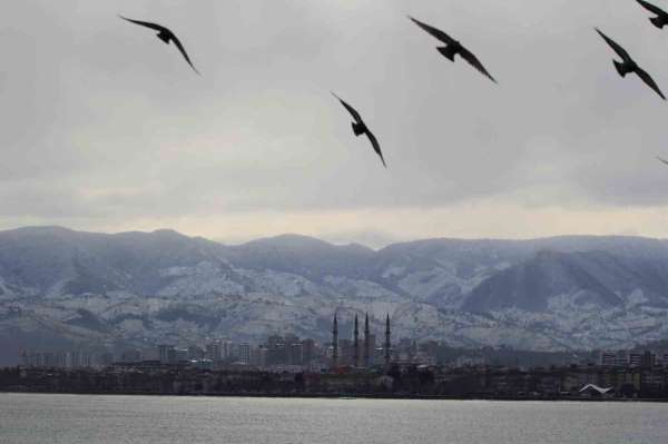 Ordu'dan şehir ve kar manzarası