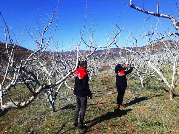 Şeftali ve nektarinde 'bordo bulamacı' zamanı