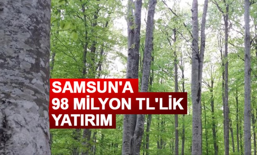 Samsun'a 98 milyon TL'lik yatırım - Samsun haber