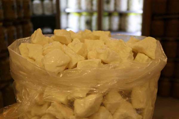 Avrupa'nın peyniri Gaziantep'ten - Gaziantep haber