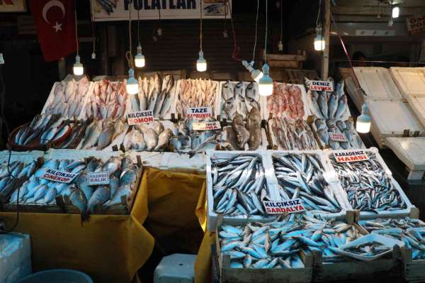 Çiftlik balığı fiyatları deniz balıklarını geçti - Mersin haber