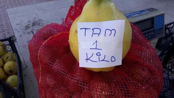 Sarıgöl'de limon ayva üretimi yaygınlaşıyor