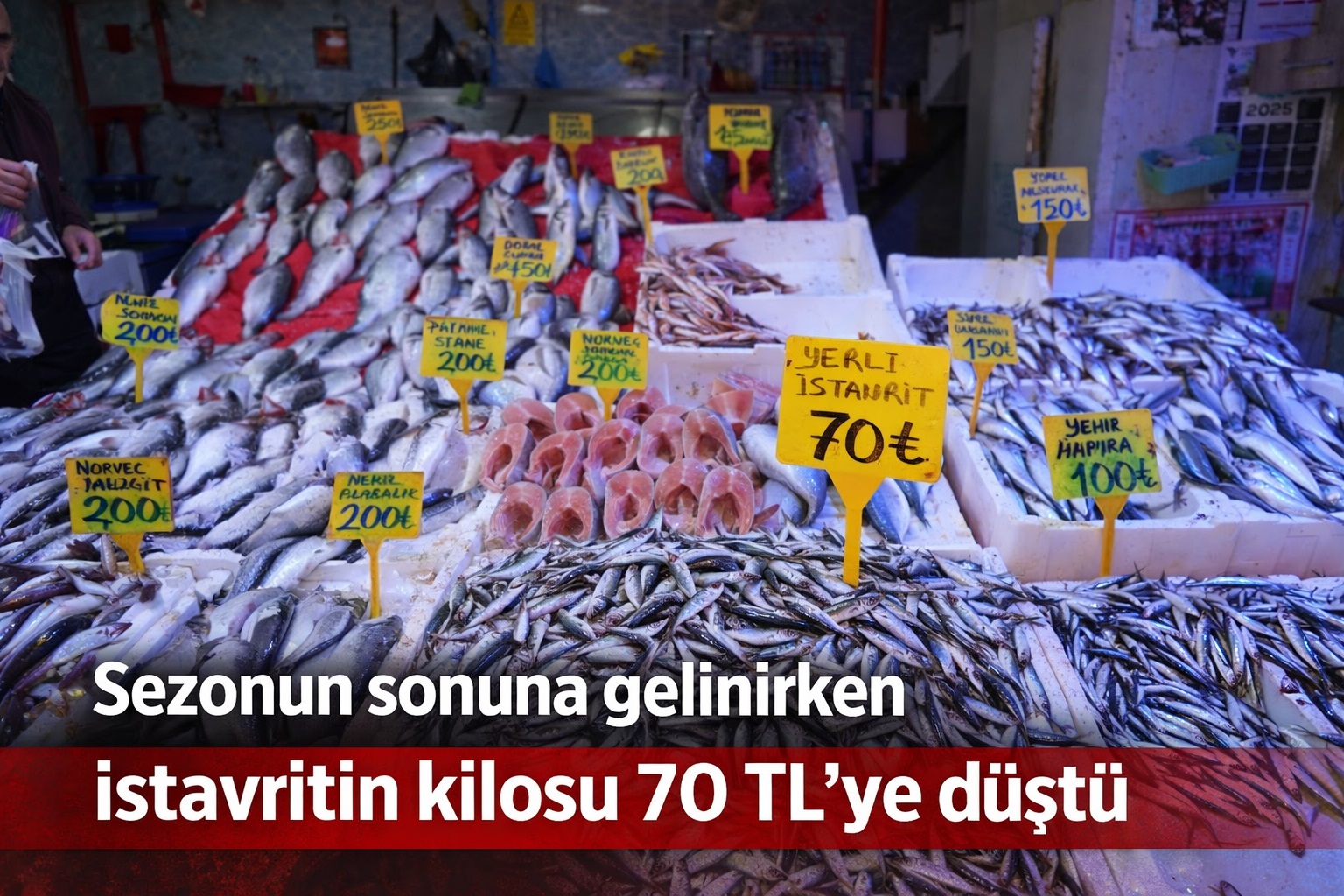 Sezonun sonuna gelinirken istavritin kilosu 70 TL'ye düştü