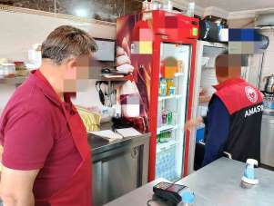 Amasya'da 26 tavuk dönerciye 9,5 milyon TL'den fazla ceza yağdı