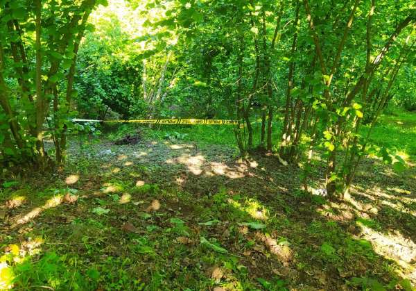 Ordu'da yaşlı adam, fındık bahçesinde ölü bulundu
