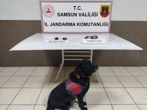 Samsun'da uyuşturucu operasyonu: 1 gözaltı