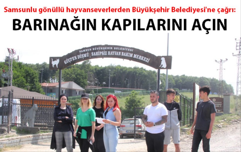 Samsunlu gönüllü hayvanseverlerden Büyükşehir Belediyesi'ne çağrı