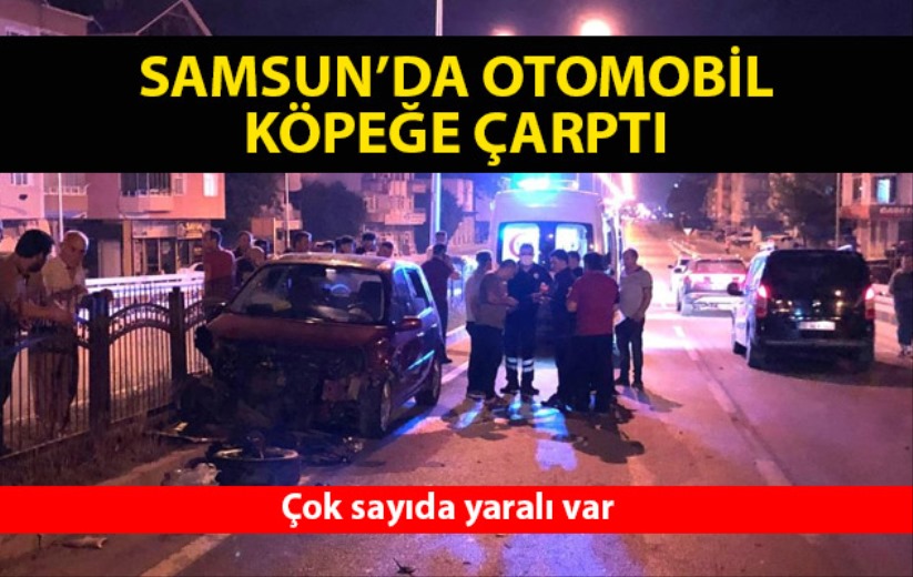 Samsun'da otomobil köpeğe çarptı: 5 yaralı - Samsun haber